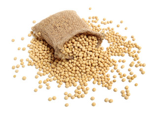 gold soybean isolated on white background