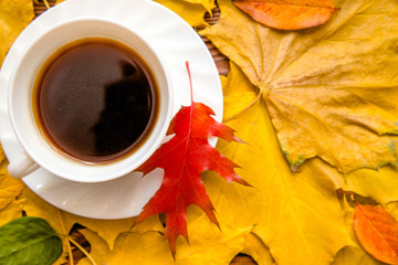 Autumn still life with cup of black coffee 