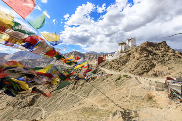 Namgyal Tsemo gompa in Leh city 