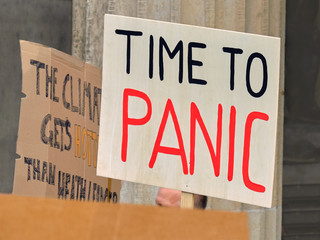 Placard "Time to panic" on a global climate strike in Berlin © tilialucida