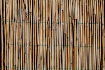 Fence of bamboo sticks fastened with wire
