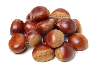 Sweet chestnut on white background