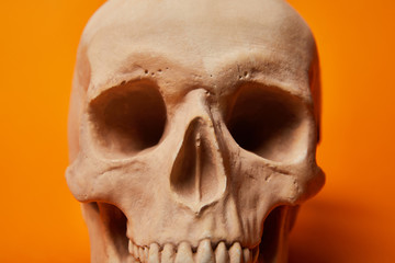 Obraz premium human skull on orange background, Halloween decoration
