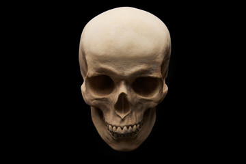  view of skull  on black background, Halloween decoration