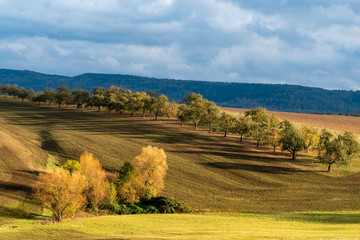 landscape in autumn