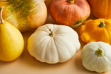 ripe whole colorful pumpkins on beige background
