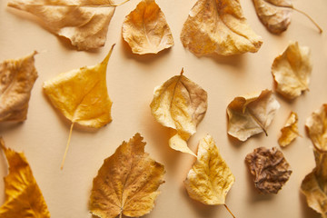 top view of dry golden foliage on beige background