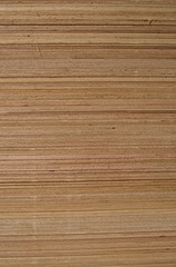 Fototapeta premium Timber department in Home center