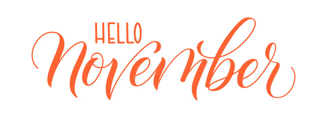 Modern brush calligraphy Hello November isotated on a white background. Vector illustration.
