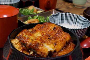 Japanese Nagoya specialty food eel dishes