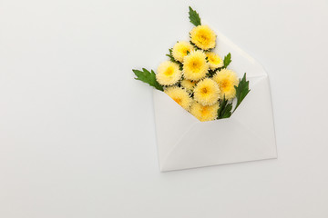 top view of yellow asters in envelope on white background with copy space