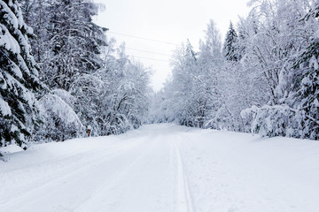 Snowy road in winter forest, beautiful frosty  white landscape, Russia