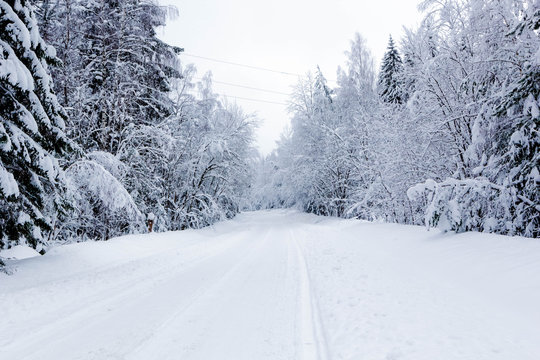Snowy road in winter forest, beautiful frosty  white landscape, Russia