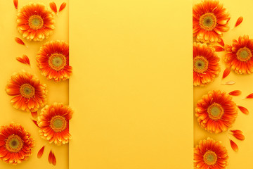 top view of orange gerbera flowers with petals and empty card on yellow background
