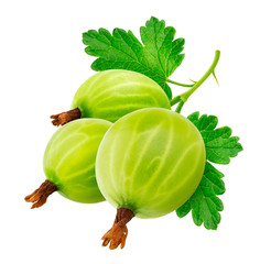 Green gooseberry with leaves isolated on white background - obrazy, fototapety, plakaty