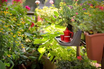 Urban Balcony garden. Cozy summer balcony with many potted plants, cup of coffee. Morning coffee on the balcony. Small table with red coffee cups and coffee maker. - obrazy, fototapety, plakaty