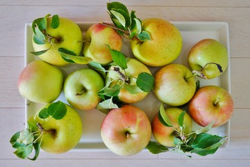 Freshly picked apples with leaves