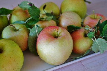Freshly picked apples with leaves