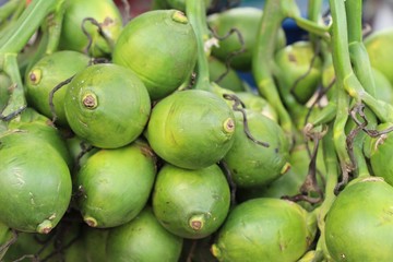 Betel palm with nature at street food