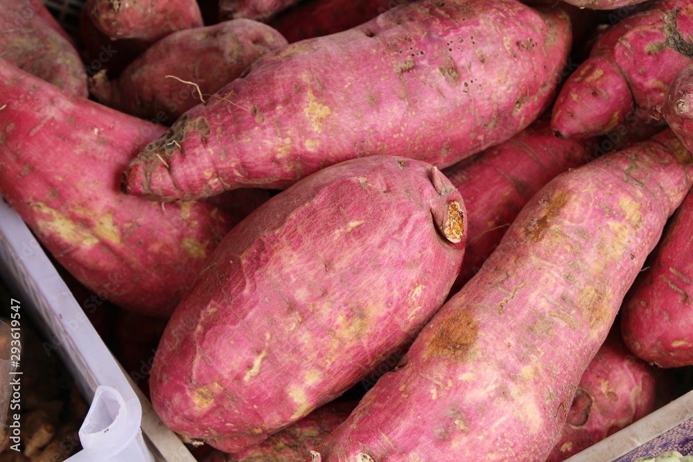 Wall mural Fresh yam for cooking in the market 