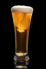 Glass of beer isolated on black background.