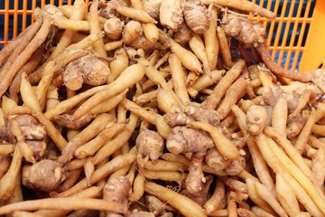 Ginger root for cooking in the market