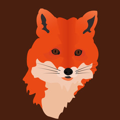 Red fox vector illustration