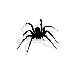 Black spider vector illustration.