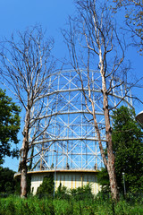 Fototapete bei efototapeten.de bestellen   