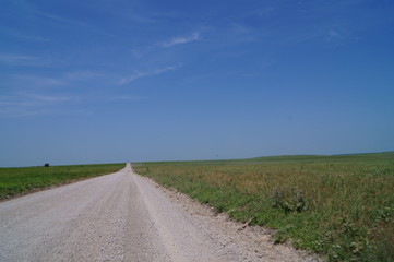 Fototapeta na wymiar country road in the field