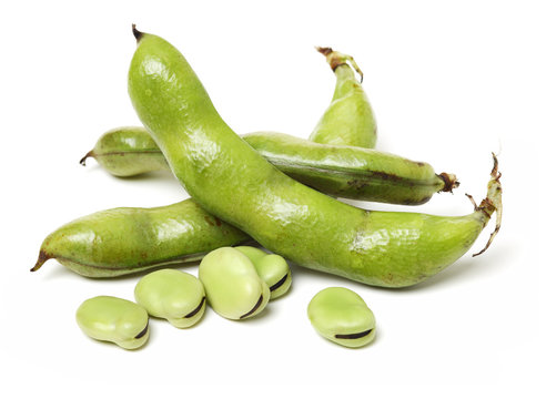 Broad beans on white background