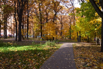 Road through oak park during fall season in Russia / Осенний парк в России