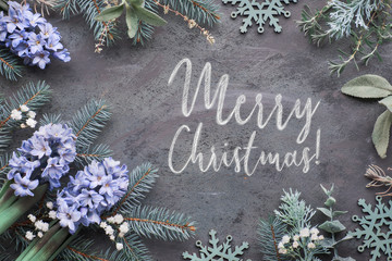 Top view on dark winter background with fir twigs and blue hyacinth flowers, greeting text