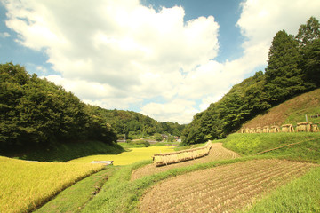 石畑の棚田　栃木県茂木町