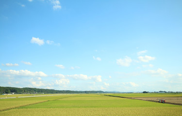 田園風景　栃木県高根沢町
