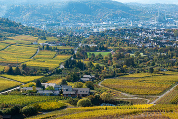 Fototapeta premium rural landscape with green fields and hills