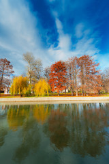 Autumn foliage in a city park, on a bright fall day