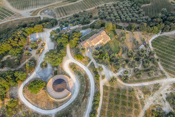 Vineyard in Montalcino