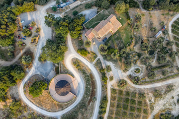 Vineyard in Montalcino