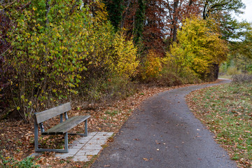 Fototapeta premium bench in park in autumn