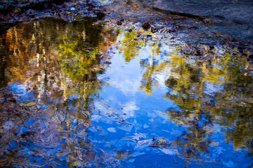 Fototapeta na wymiar Fall Reflections