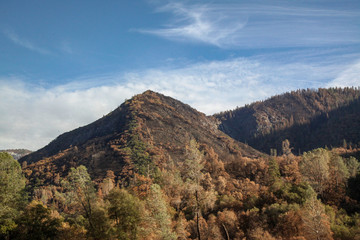 Fototapeta premium View of nature landscape at Yosemite National Park in the winter,USA. for nature background