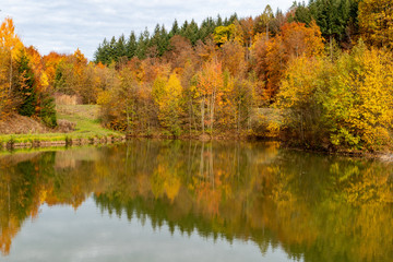 beautiful woodland in autumn time in Germany