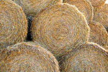 Macro photo haystack on farm. Photo landscape haystack rolls in the field