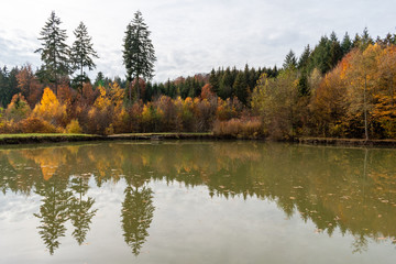 beautiful woodland in autumn time in Germany