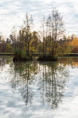 beautiful woodland in autumn time in Germany