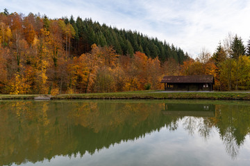 Fototapeta na wymiar beautiful woodland in autumn time in Germany