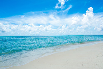 Obraz premium Beautiful landscape of the sandy beach, Maldives island