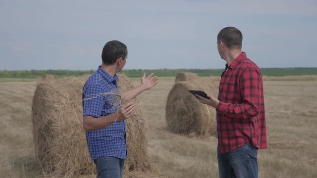 teamwork agriculture smart farming concept. two men farmers workers studying a haystack in a lifestyle field on digital tablet. teamwork slow motion video. people agronomist botanist farmers working