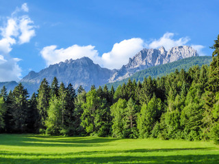 A lush green meadow in an Alpine valley. There is a thick forest in front and a very tall chain of mountains. The ground is covered with fresh grass. Clear and bright day.